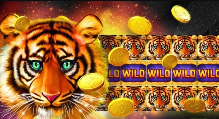 Cach choi Bonus game tiger gold hinh anh 2