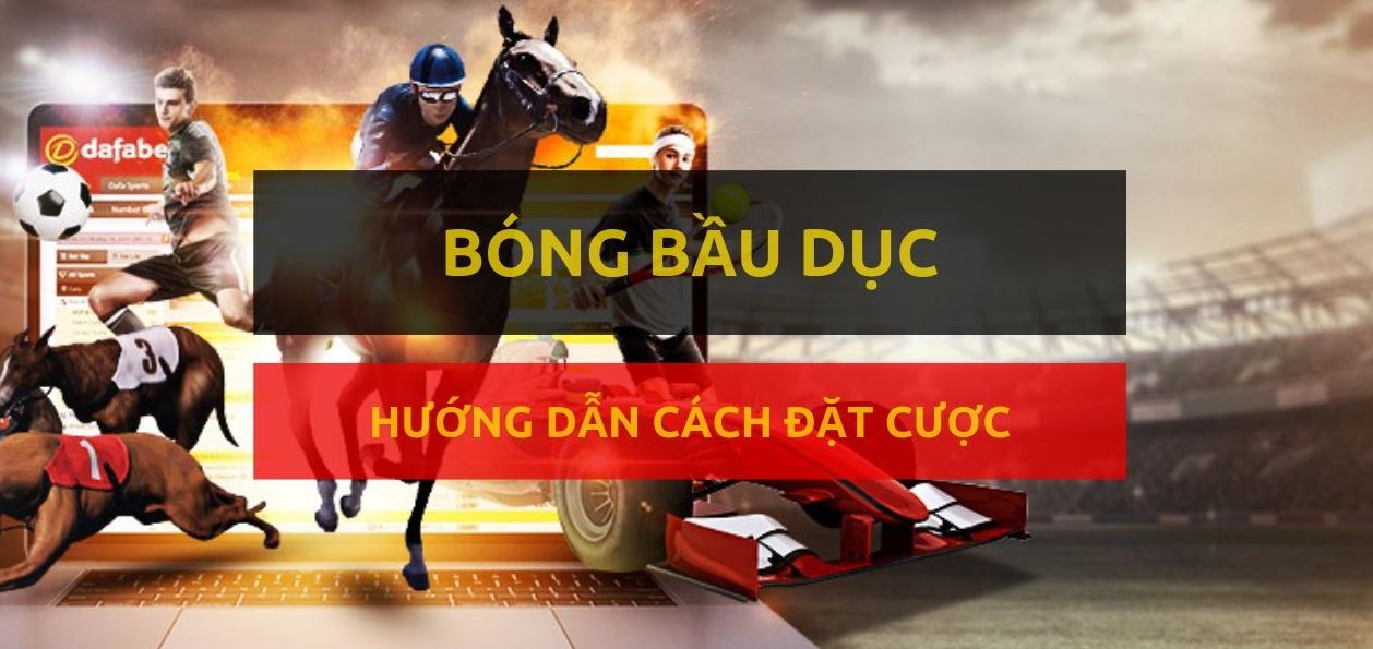 Cach ca cuoc bong bau duc tai Vn88 de thang